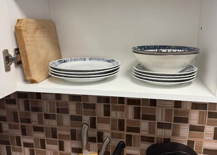 公寓 Saturn 布拉索夫